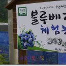 순정로 이미지