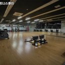 휩스 휘트니스클럽 | 대전광역시 동구 헬스장 휩스휘트니스클럽 내용가격운영시간주차리뷰 알아보기