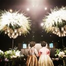 엠앤엠(M&M) 이미지