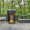 불암산 순환산책로 이미지