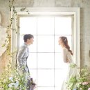 스튜디오아리와 이미지