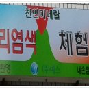 머리염색체험방 - 경산시 | 머리염색체험방