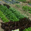 준모농장 이미지