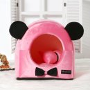 오로라펫 이미지