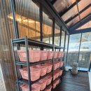 키즈포레스트 이미지