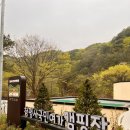 오봉산여가녹지 | 강원 춘천 청평사 오토 캠핑장 - 테슬라 모델Y 차박후기