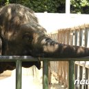 전주동물원 이미지