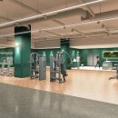 얼라이브 휘트니스 이미지