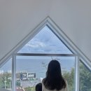 수피아라 B 이미지