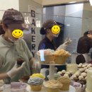 매그놀리아 이미지