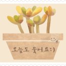 광덕커피 이미지