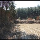 이곡1리 다목적회관 이미지