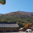 표충사 1 이미지