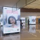 설레임몰 이미지