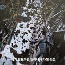많팔돈벌