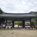 순천 송광사 단풍 시기 법정스님 무소유길 산책 가족여행 코스