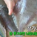 가자미랑 고등어 굽는법 이미지