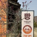 발리동천 | 울산 간절곶 근처 한옥 카페 발리정원 정원도 이쁨