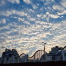 [쪼시의 21년도 상반기 리뷰]
