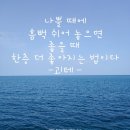 제주 일출봉 해안 일제동굴진지 이미지