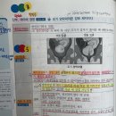 2023년 충남 초수 합격 수기 이미지