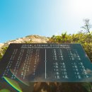 푸른감(푸른感) 이미지