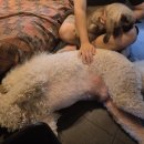 미로객잔 이미지