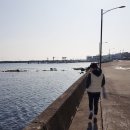 부경대학교수산과학연구소 이미지