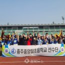 충주중앙탑초 이미지
