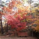 화왕산오토캠프장