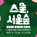숲속에 이미지