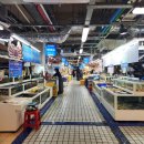 금성로4(서) | 강릉중앙시장 맛집 회센터 한신회센터 대방어 사임당오징어순대 튀김