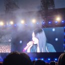조하유치원 | 2025 울산 H-콘서트 라인업 및 후기