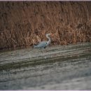 산수재민박 이미지