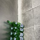 강씨횟집 이미지