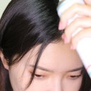 바디스트 이미지