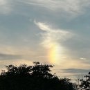 바라겔 | [내돈내산] 서산애견카페 #바라겔🐾