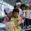 빛초롱어린이집 이미지