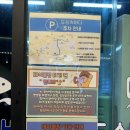 [연산] 도심속바다 내돈내산 일요일 방문 후기(토,일 방문 웨이팅 참고 하세용🐟)