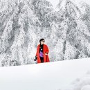혜:윰 Daum카페