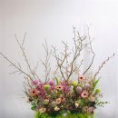 파크 블러썸 이미지