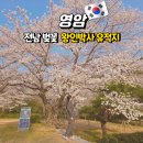 왕인박사유적지 문산재 | 전남벚꽃 영암 왕인박사 유적지 벚꽃 후기 +100리 벚꽃길