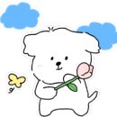 유스레코드 이미지
