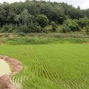 관광농원 이미지