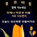 아름다운 범인 이미지