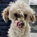 평인일주로 이미지