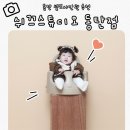행복사진관 | 셀프로 남기는 가족의 행복한 순간 동탄사진관 쉬끄스튜디오 방문 후기
