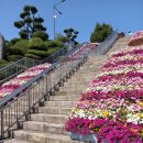 지도 원광한의원 이미지