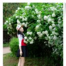 남현 이미지