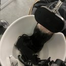 성남대로2번길 | 분당 두피 정밀진단부터 맞춤케어까지 야탑 웰킨두피탈모센터 헤드스파 리얼 후기